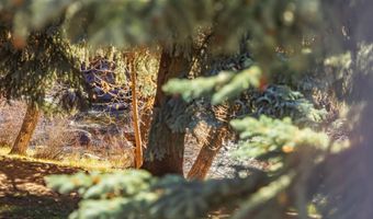 3000 Eaglebend Dr 5, Avon, CO 81620