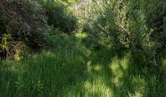 28 Mile Rd, Albion, MI 49224