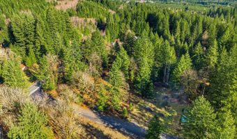 158 Windsock Rd 1, Ariel, WA 98603