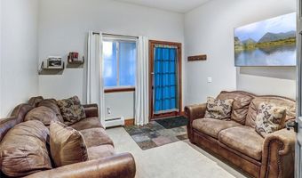 1095 QUARTZVILLE, Alma, CO 80440