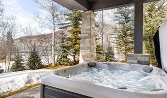 505 Park Cir B, Aspen, CO 81611