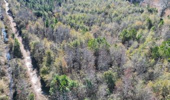 Tbd A Midway Street, Bamberg, SC 29003