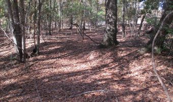 Hillside Drive, Americus, GA 31709