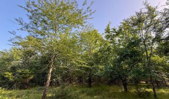 Tract 6 highway 70 Acres, Bennington, OK 74723