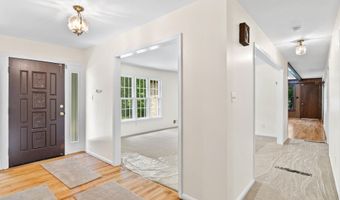 7113 JUDITH Ave, Alexandria, VA 22315