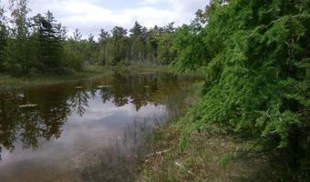 3305 El Cajon Beach Rd, Alpena, MI 49707
