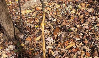 99- C Richmond Hwy, Amherst, VA 24521