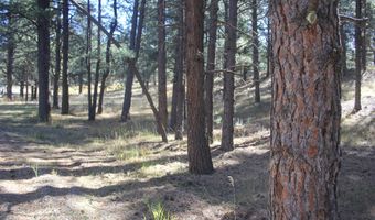 Valley Road lot 41, Angel Fire, NM 87710