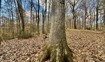 1520 Brittontown Rd, Afton, TN 37616