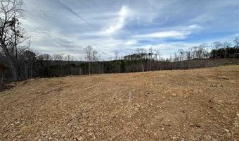 2 50 Ac Tract Green St, Chesterfield, SC 29709