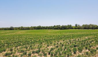 81 3+/- Acres SW Boyer Rd, Augusta, KS 67010