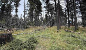 Cheerful Way lot 1469, Angel Fire, NM 87710