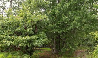 6450 Manship Rd, Brandon, MS 39047