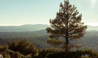6 7 Joines, Alturas, CA 96101