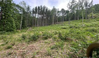 Pumpkin Patch Road, Bakersville, NC 28705