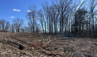 E Hwy 14 Private Drive F, Ava, MO 65608