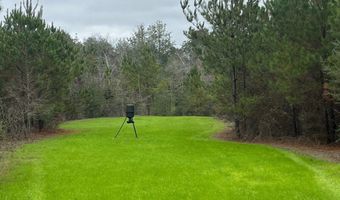 Wilburn Taylor Road, Buckatunna, MS 39322