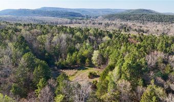 5018 Buttermilk Rd Lot 0, Atkins, AR 72823