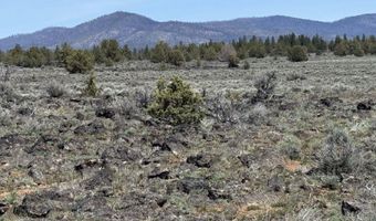 Oregon Pines Road TL 1200, Beatty, OR 97621