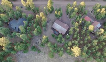 6 County Road 2271, Alpine, AZ 85920