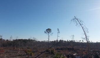 0 MT. ZION CHURCH Rd, Axson, GA 31624