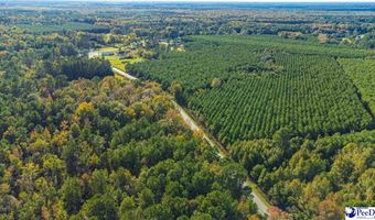 TBD I M Graham Rd, Cades, SC 29518