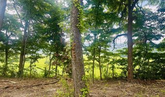 Tract 1 Mill Creek Rd, Andersonville, TN 37705