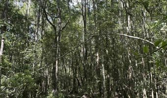 0 Highway 31, Bay Minette, AL 36507