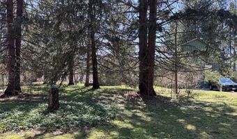 83 High St, Angelica, NY 14709