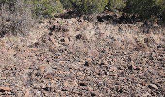 5079 N Pineveta Rd, Ash Fork, AZ 86320