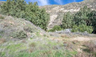 12571 Capra, Agua Dulce, CA 91390
