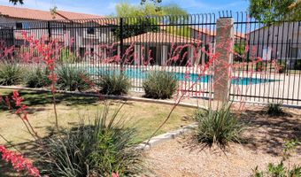 1961 N HARTFORD St 1041, Chandler, AZ 85225