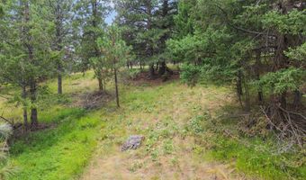 435 Windsor Dr, Bigfork, MT 59911