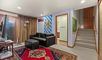 307 E Sopris Dr, Basalt, CO 81621