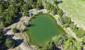 7120 FM 2819, Anderson, TX 77830