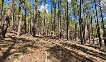 249 Timber Dr, Bayfield, CO 81122