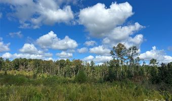 60 Ac Shannon Rd, Blackstock, SC 29014