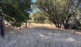 41902 Woodward Way, Ahwahnee, CA 93601