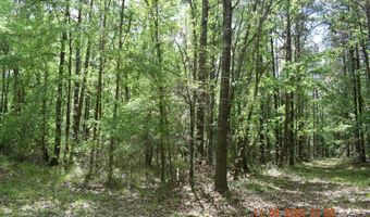 CAMERON ROAD, Bastrop, LA 71220