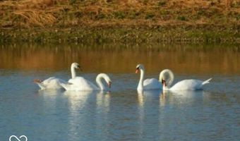 7916 Apalachee Dr, Indianapolis, IN 46217