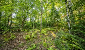 Luke Road, Amasa, MI 49903