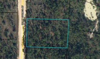 0 Holly Springs Ave, Alford, FL 32420
