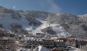 415 E Dean St Unit 10 Weeks 51 + 52, Aspen, CO 81611