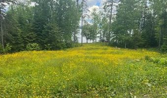 Herr Trail lot 19, Adamstown Twp., ME 04970