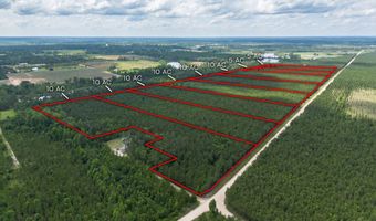 Tract 9 Sanderling, Alma, GA 31510