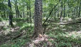Pine Lodge Road, Batesville, MS 38606