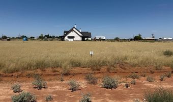 1007 SE 1620, Andrews, TX 79714