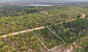 Channel Drive, Alford, FL 32420