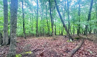 Planters Pointe Terrace, Baldwin, GA 30511