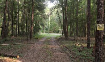 15821 SW 50TH Ave, Archer, FL 32618